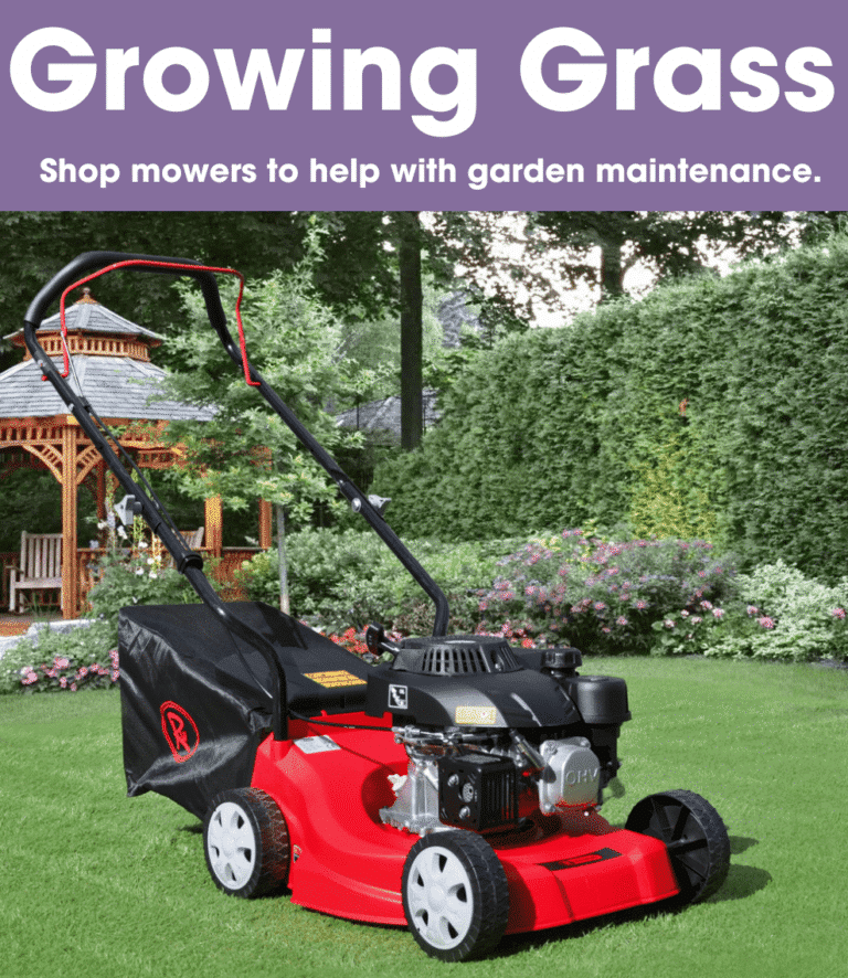Growing Grass - Shop mowers to keep your garden tidy.
